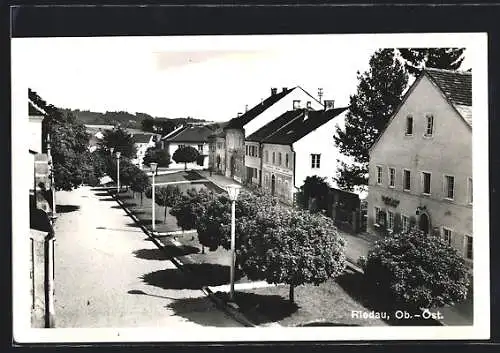 AK Riedau, Ortsansicht mit Strassenpartie