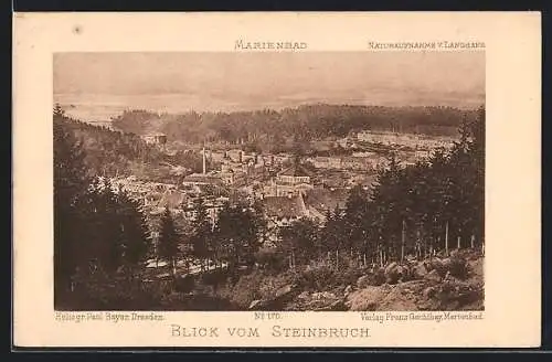 AK Marienbad, Totalansicht vom Steinbruch aus