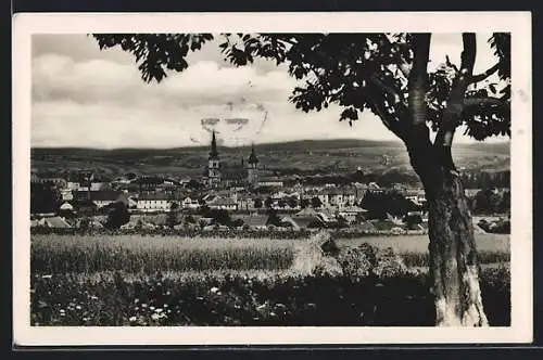 AK Wischau / Vyskov, Celkový pohled