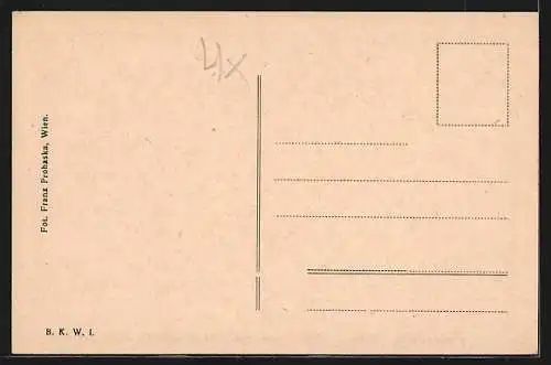 AK Feldsberg /N.-Ö., Schlafzimmer mit Brüssler Gobelins