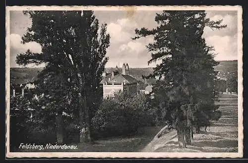 AK Feldsberg /Niederdonau, Strassenpartie mit Tannen