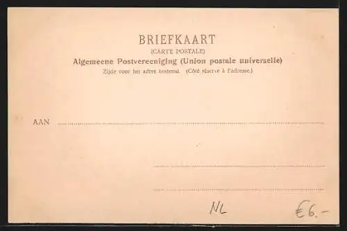 AK `s-Gravenhage, Het Koninklijk Paleis