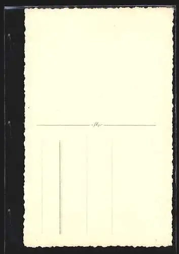 AK Pardubice, Blick durchs Tor