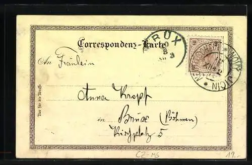 Lithographie Neutitschein, Totalansicht der Ortschaft