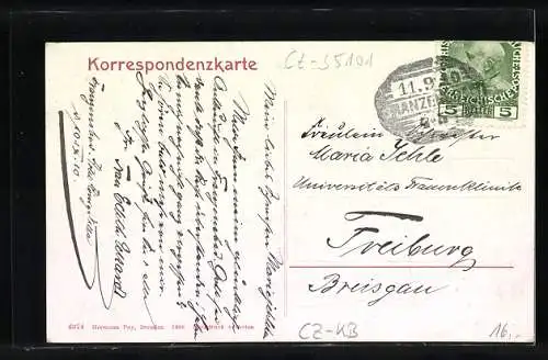 AK Franzensbad, Kopp`s Königsvilla mit Kutsche