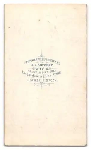 Fotografie A. v. Aureiter, Wien, Franz Josefs-Qai Eingang Adlergasse 648, Eleganter Herr mit Vollbart