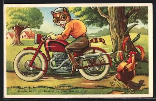 Künstler-AK Katze auf Motorrad flitzt an einem Hahn vorbei