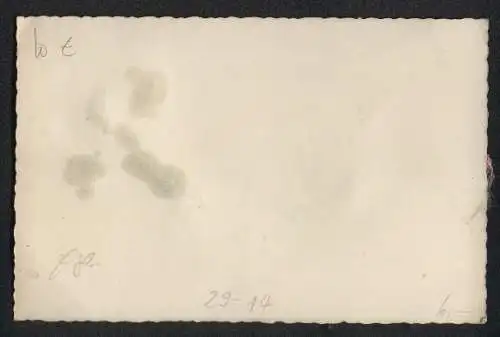 AK Schwalbe mit einem Strauss Pflanzen zieht einen Wagen mit echtem Stoff, Nachwuchsankündigung