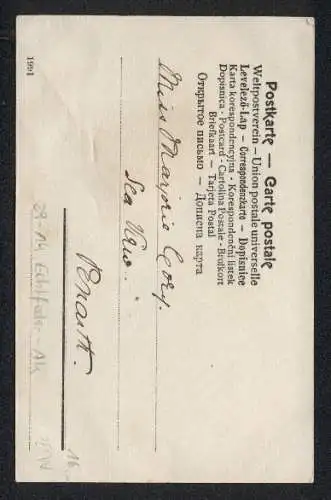 Echtfeder-AK Ein Vogel aus echten Federn in sumpfiger Szene