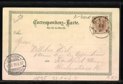 Vorläufer-Lithographie Innsbruck, 1895, Goldenes Dachl, Triumpfbogen, Stadtsäle