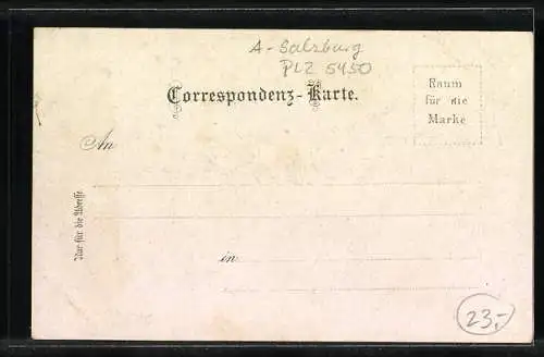 Lithographie Werfen, Marktplatz, Festung, Totalansicht