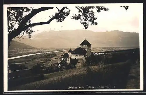 AK Vaduz, Blick auf das Schloss