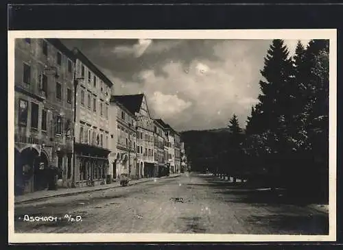 AK Aschach a. d. D., Strassenpartie mit Bäumen