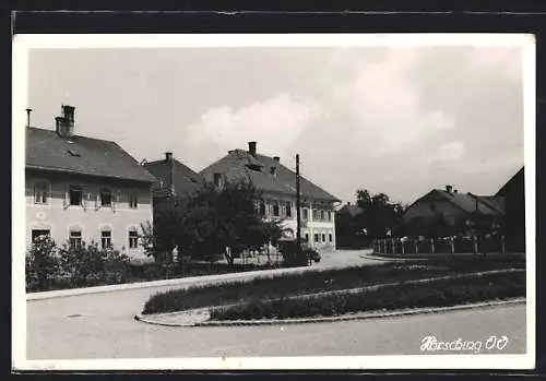 AK Hörsching /O.-Ö., Strassenpartie mit Bäumen