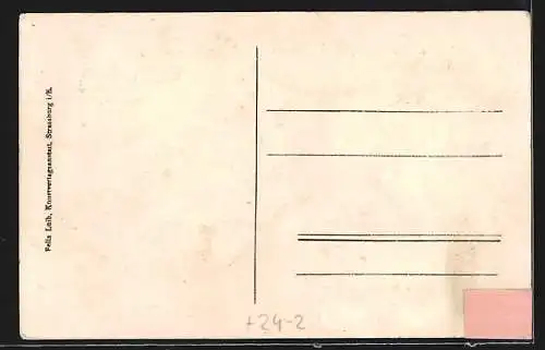 AK Donaueschingen, Brandkatastrophe am 5. August 1908