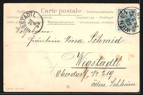 AK Wien, Deutsches Volkstheater