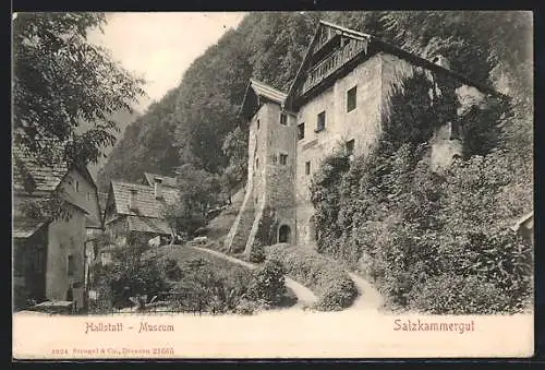 AK Hallstatt, Partie am Museum