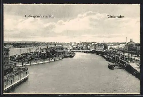 AK Ludwigshafen a. Rh., Winterhafen mit Dampfern