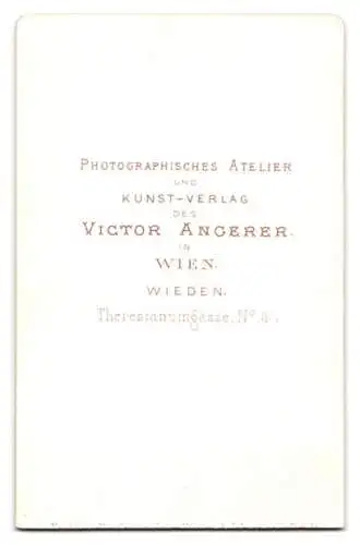 Fotografie Victor Angerer, Wien, Theresianumgasse 4, Junge Dame mit Hochsteckfrisur und Kragenbrosche