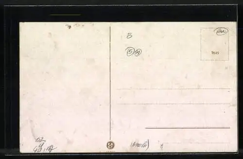 AK Königgrätz, Strassenpartie mit Villen