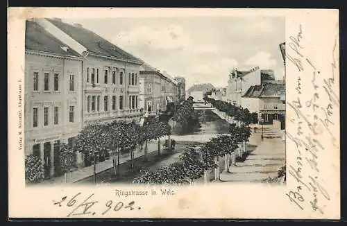 AK Wels, Promenade entlang der Ringstrasse