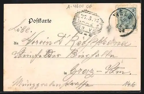 AK Wels, Promenade entlang der Ringstrasse