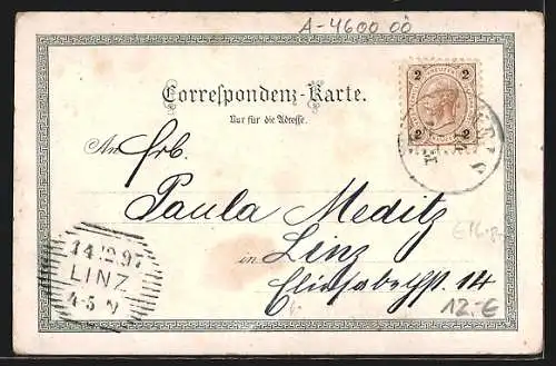 Lithographie Wels, Gesamtansicht mit Brücke aus der Vogelschau