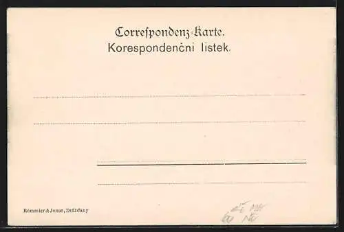 AK Torino, Piazza S. Carlo, Strassenbahn, Reklame für Ebermannova