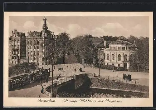 AK Amsterdam, Plantage Middelaan met Anquarium, Strassenbahn