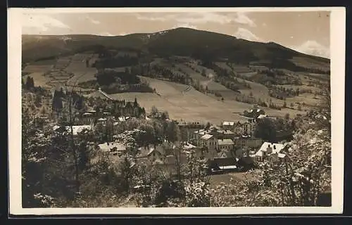 AK Nieder-Lindewiese in Schl., Ortsansicht aus der Vogelschau