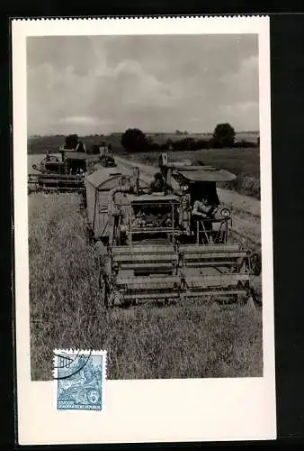 Maximum-AK Mähdrescher auf dem Feld