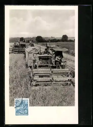 Maximum-AK Mähdrescher auf dem Feld