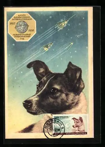 AK Année Géophysicale Internationale 1957 /58, Hündin Laika, Raumfahrt