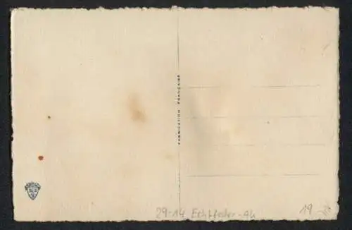 Echtfeder-AK Ein Vogel an einem Beerenstrauch, aus echten Federn