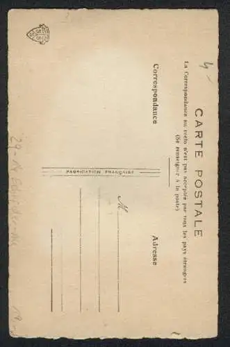 Echtfeder-AK Ein Vogel aus echten Federn auf dem Ast einer Trauerweide