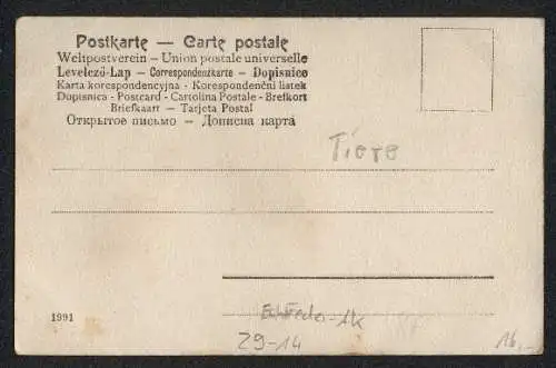 Echtfeder-AK Zwei Rebhühner aus echten Federn an einem Bach