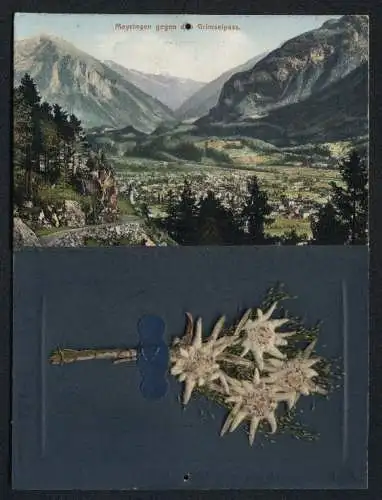 Trockenblumen-AK Meyringen, Ortsansichten von der Alpbachschlucht und gegen den Grimselpass, echtes Edelweiss