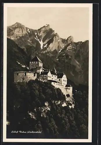 AK Vaduz, Das Schloss gegen den Berg