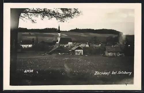 AK Berndorf bei Salzburg, Ortsansicht vom Feld aus