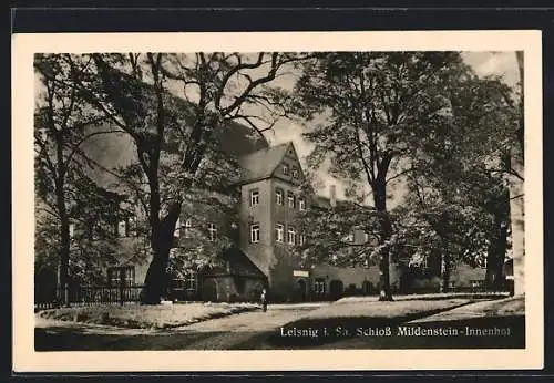 AK Leisnig, Blick auf Schloss Mildenstein