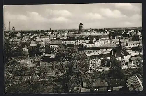 AK Eilenburg, Teilansicht mit Bäumen