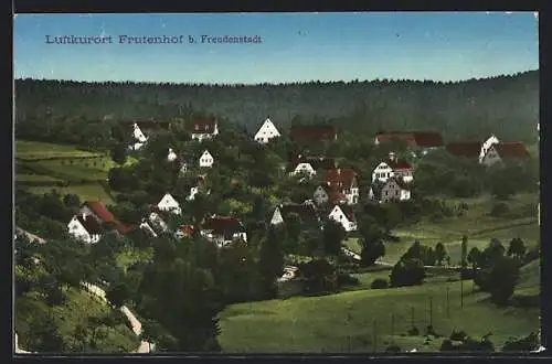 AK Frutenhof b. Freudenstadt, Panorama