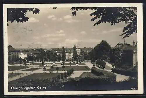 AK Gotha, Orangeriegarten