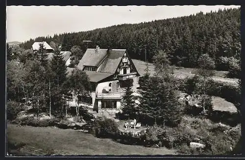 AK Schönwald / Schwarzwald, Hotel-Pension Inselklause