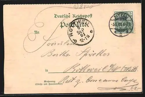 AK Zittau, Restaurant Helbig`s Etablissement im Weinaupark