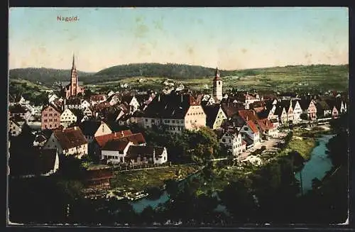 AK Nagold, Teilansicht mit Flusspartie
