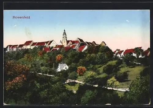AK Rosenfeld / Württ., Ortsansicht mit Wäldchen