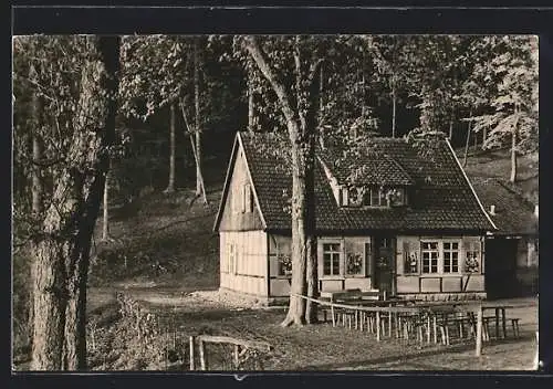 AK Heiligenstadt / Eichsfeld, Waldgaststätte Neunbrunnen