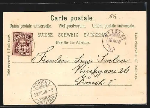 Lithographie Nesslau, Dorfplatz, Ortsansicht aus der Vogelschau