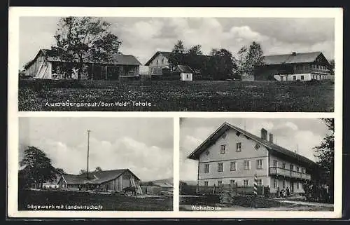 AK Auersbergsreut /Bayr. Wald, Dampfsägewerk mit Landwirtschaft von Josef Sammer, Wohnhaus